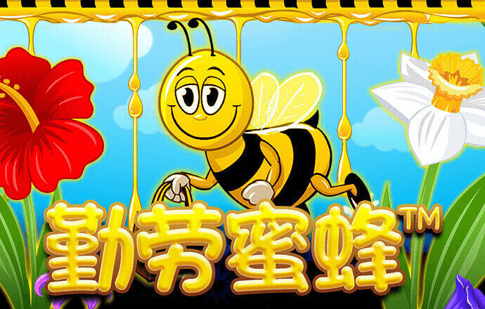 易倍体育APP最新版本
