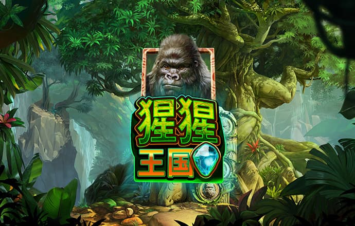 博雅娱乐下载官网